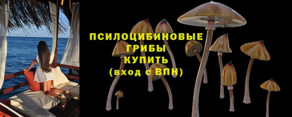 трава Магадан