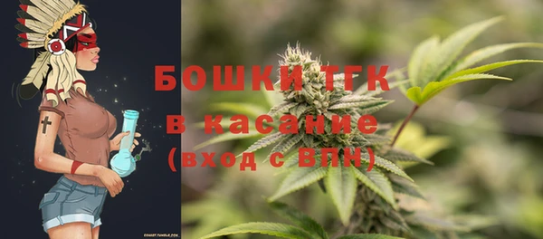 ГАЛЛЮЦИНОГЕННЫЕ ГРИБЫ Абаза