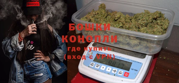 ГАЛЛЮЦИНОГЕННЫЕ ГРИБЫ Абаза